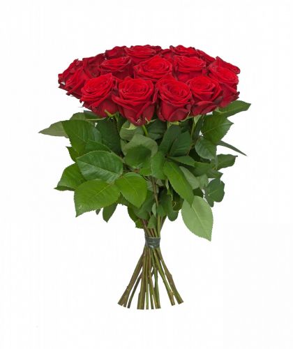 15 красных роз - купить с доставкой по Амурску